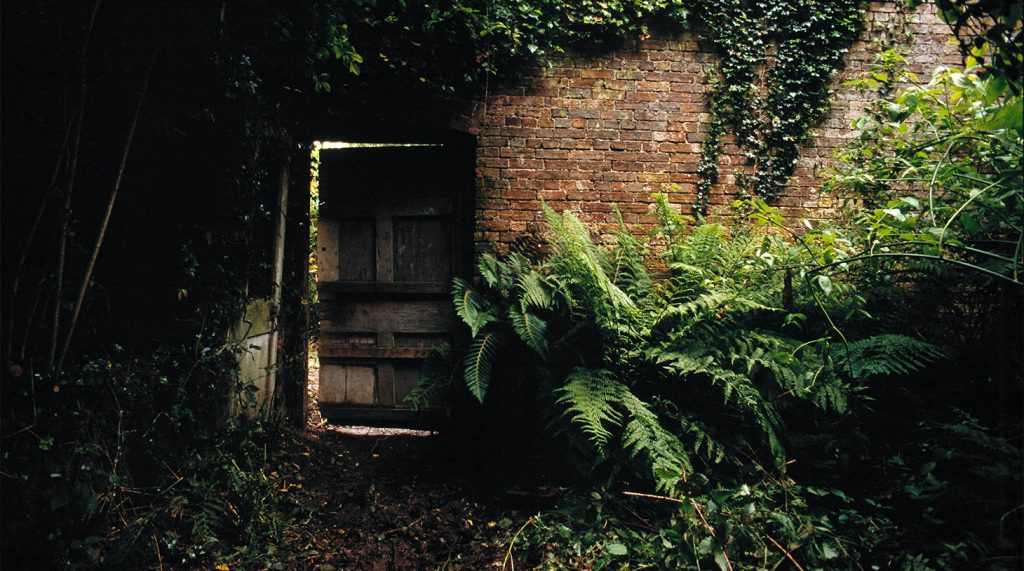 Garden Clearance
